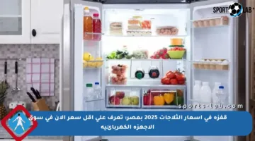 قفزة في أسعار الثلاجات 2025 بمصر: تعرف على أقل سعر الآن في سوق الأجهزة الكهربائية